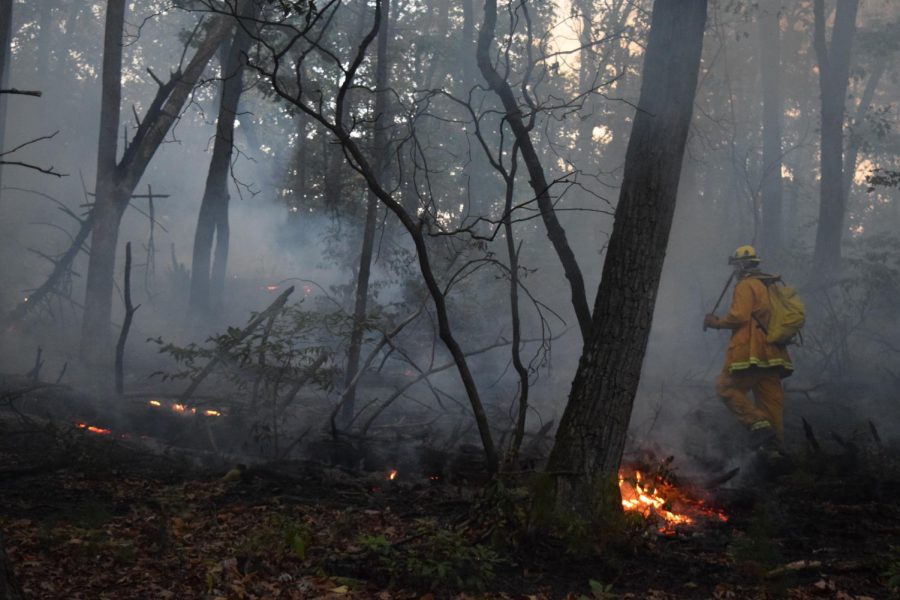Firefighters in Beacon Falls approach a brush fire in 2016. Major wildfires have affected the West throughout 2020, although Woodbury fire chief Janet Morgan says major fires arent common in Woodbury. (Photo contributed by Beacon Hose Co. No. 1)