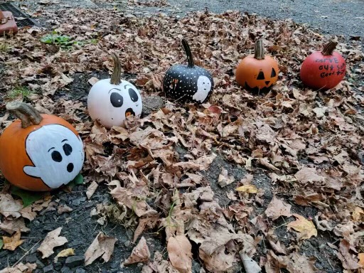 Pumpkins painted by the Woodbury Leos Club welcome gusts to the Woodbury Lions Clubs Haunted Hayride, which is held during the final two weekends before Halloween each year.