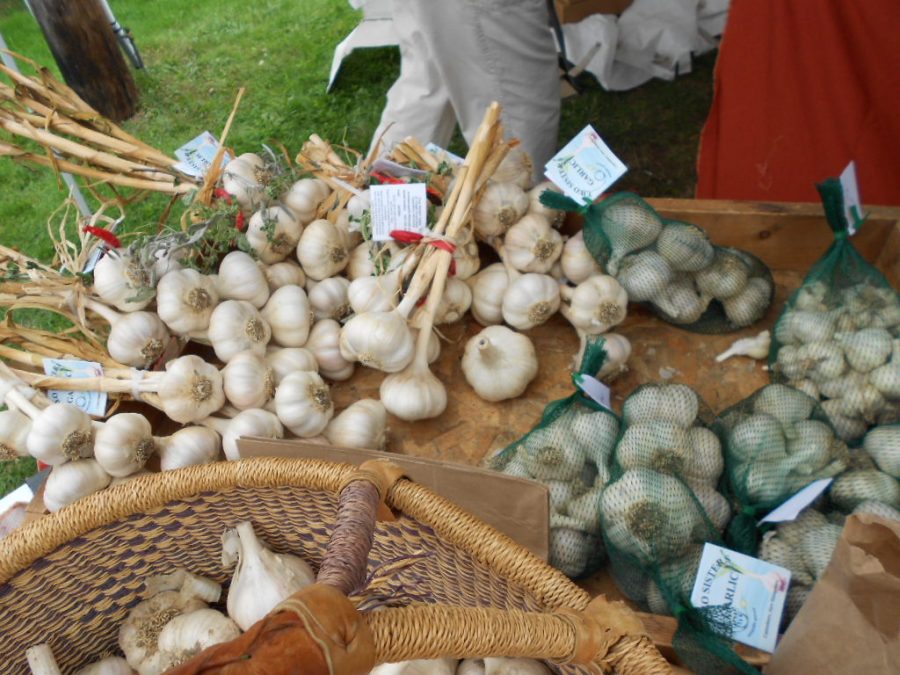 The Connecticut Garlic Festival will return to the Bethlehem Fairgrounds on Oct. 9-10.