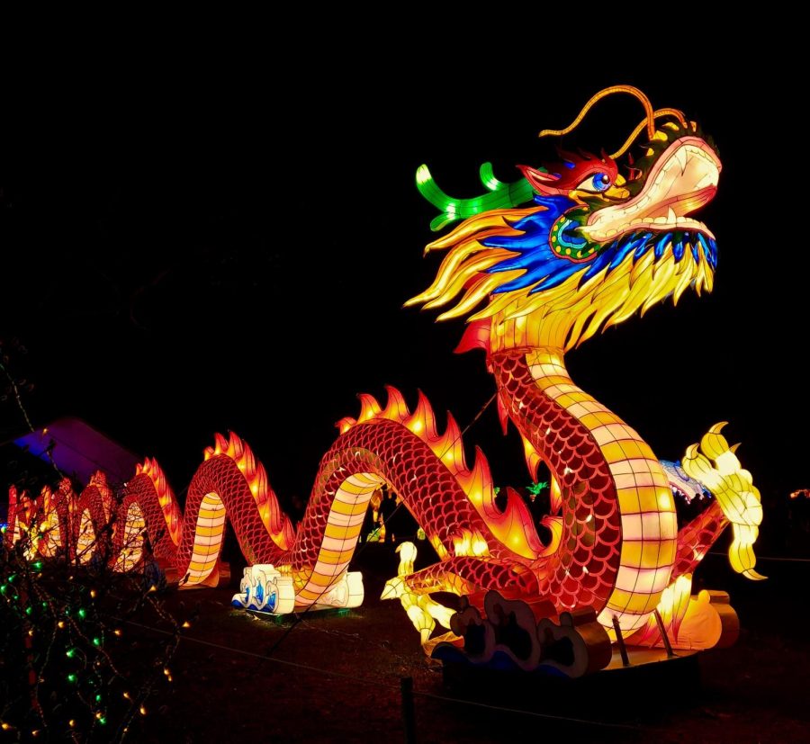 The+dragon+is+one+of+many+symbols+used+to+celebrate+Chinese+New+Year.