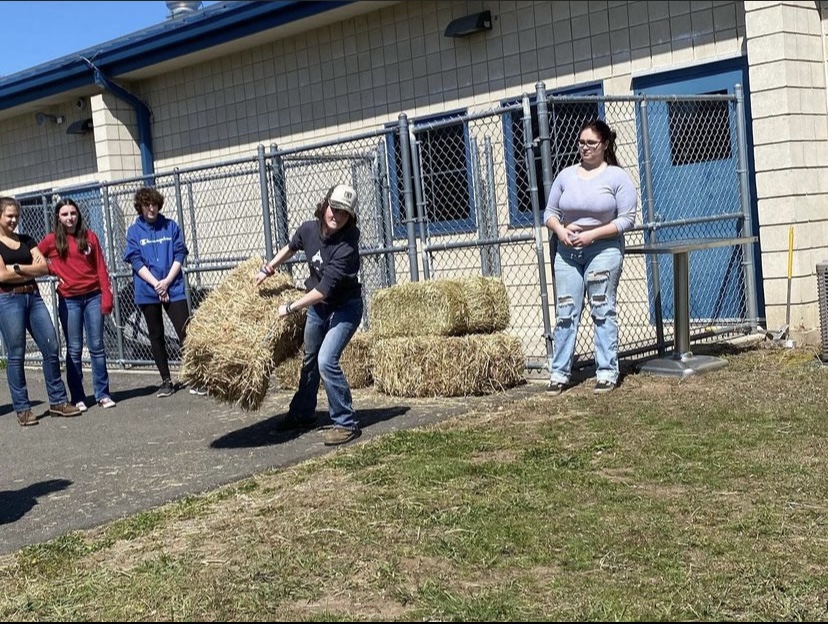 Hay bail toss is among one of the activities from last years ag field organized by the Student Activities Committee. 