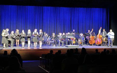 Members of the NHS choir and orchestra performed their own arrangements of classic movie songs. Their finale was a medley of songs from La La Land.