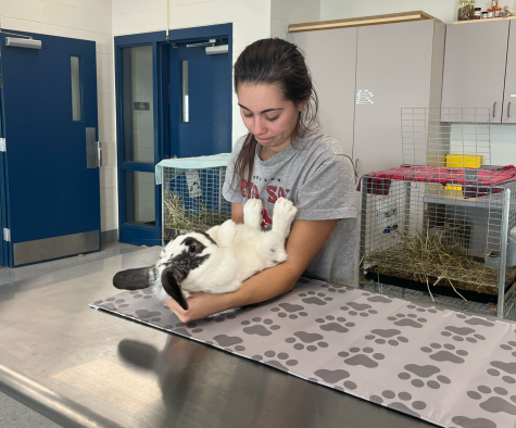 Jesse Hungerford brings her knowledge and passion for animals to her teaching of veterinary science. 