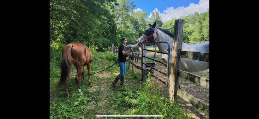 One of Anna Shupenis responsibilities is caring for horses while she hones her knowledge of agriscience. 