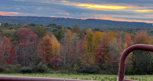 This years vibrant fall foliage is due to a variety of factors, but heavy summer rain contributed to the prolonged color Connecticut residents are enjoying this fall. 