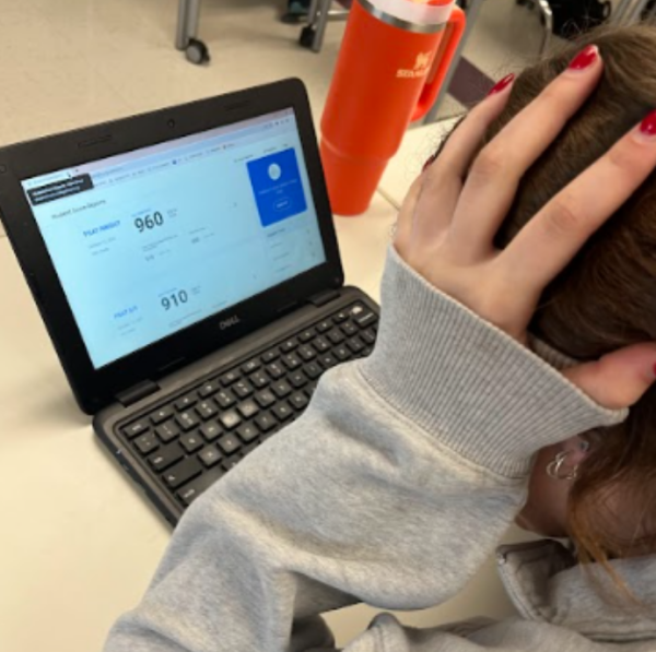 Juliana Bailey, a junior at Nonnewaug, reviews her PSAT scores from ninth and 10th grade on Nov. 9. Some students stress about receiving their latest scores.