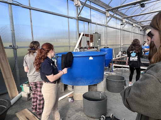 From left, Lana Manganello, Chloe Walsh, Abby Diezel, and Jillian Brown working on a single system tank in the aquahouse as they figure out the correct measurements of the piping, and finalize their layout of their system. 