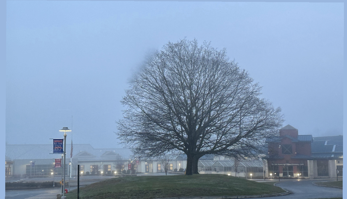 Nonnewaug High School’s campus remains darker in early mornings due to the time change. This can pose challenges to new student drivers and school buses navigating the morning darkness. 