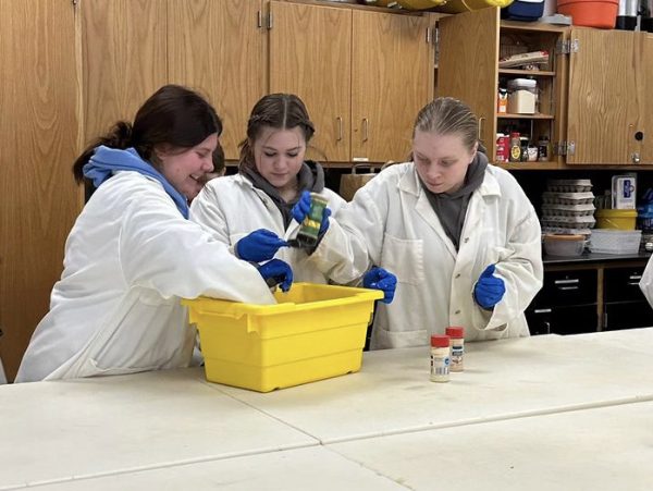 Southington students had the freedom to choose seasonings for the chicken they ground during a visit to NHS campus. These three students poured a mix of seasonings into the meat before the sausage casing process. (Courtesy of Molly Allard)