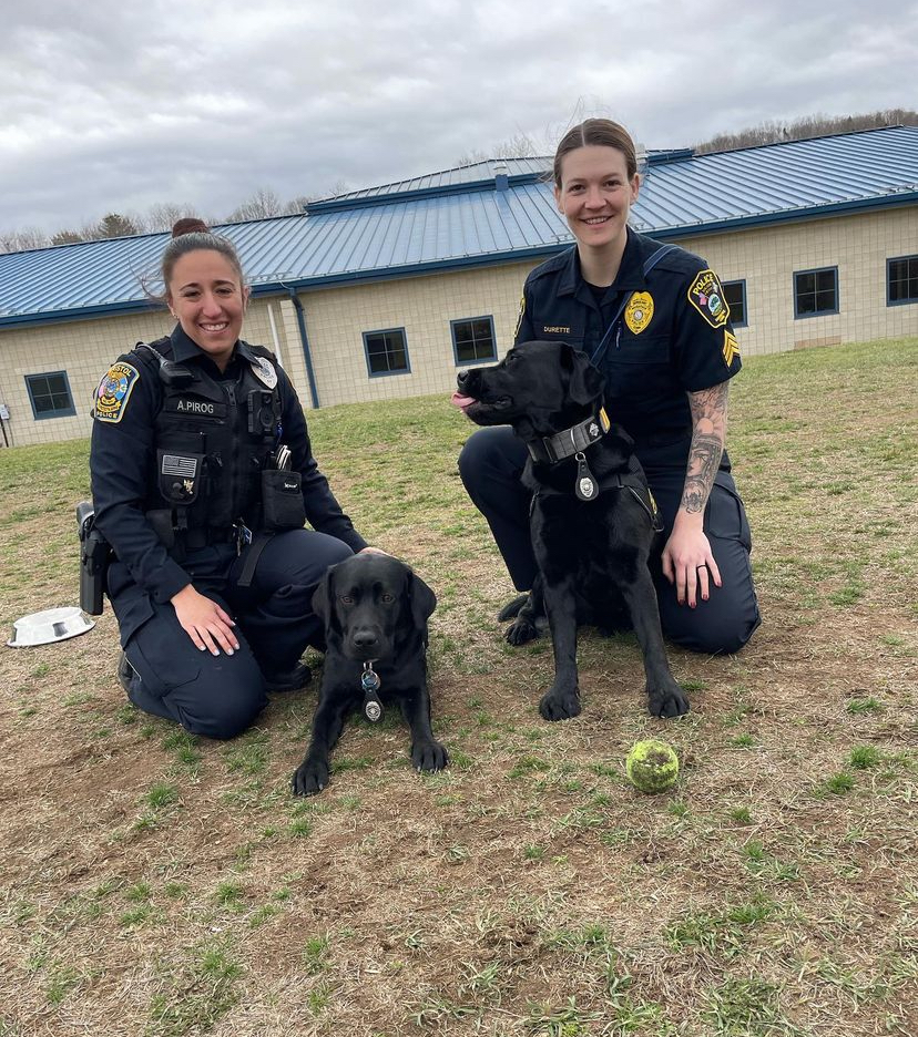 After last years penny wars, the K9 unit officers, Officer Pirog with her dog Frankie and Sergeant Durette with her dog Indy came to campus with their dogs in training to inform students about where and how the money is directly affecting the dogs.