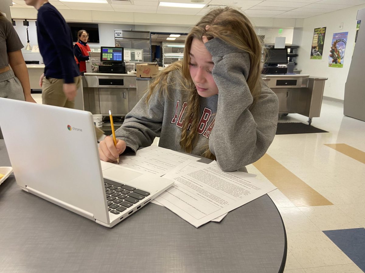 Nonnewaug sophomore Grace Rubacha completes homework in preparation for midterm exams.