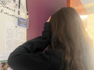 Nonnewaug freshman Audrey Doran stresses as she looks at the current school schedule. The schedule will change from seven to eight periods next school year.
