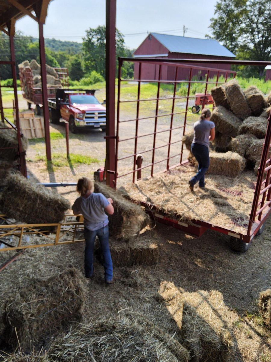 Senior Andrea Tari helps load a hay wagon. “I work at a local hay farm,” Said Tari. “I learn a lot about life working on a hay farm, but I also learn how to run a business, and many life skills such as communication.”  
