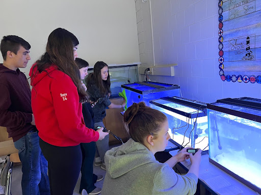 From right, Kaylee Jackson, Arabella Rosa, Christopher Pelletier, Lana Manganello, and Karisa Cizauskas set up their new saltwater aquariums and learning how to control their coral lighting.