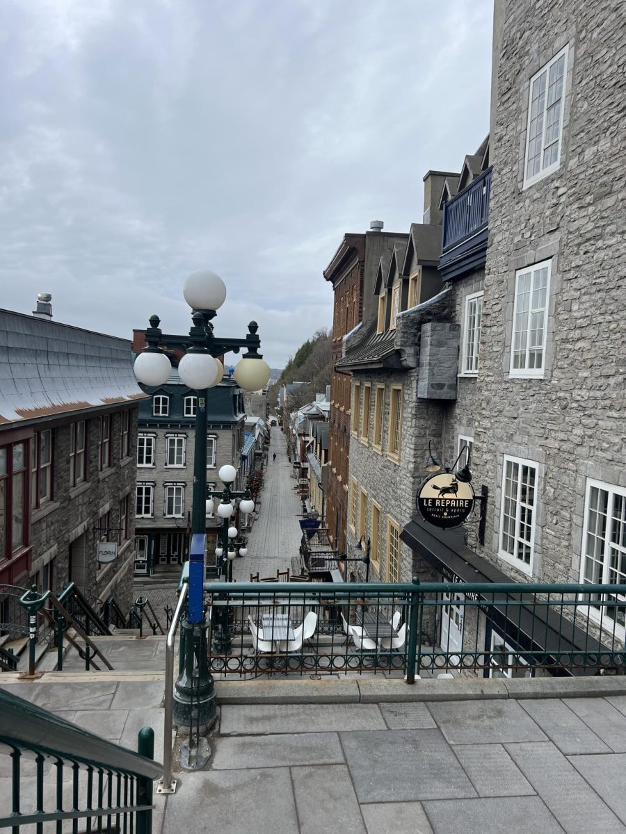 These are the "breakneck stairs", which lead to the street in Quebec City that was declared the most beautiful in the entire province. 