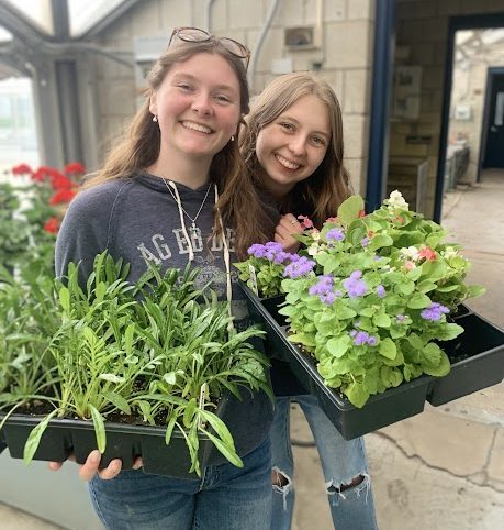 Junior Kyleigh Paige and her sister Jamie Paige, a 2023 Nonnewaug graduate, are helping to pack up the plant sale and organizing the greenhouses. Both sisters helped at the plant sale and had a bake sale booth for GradNite. 