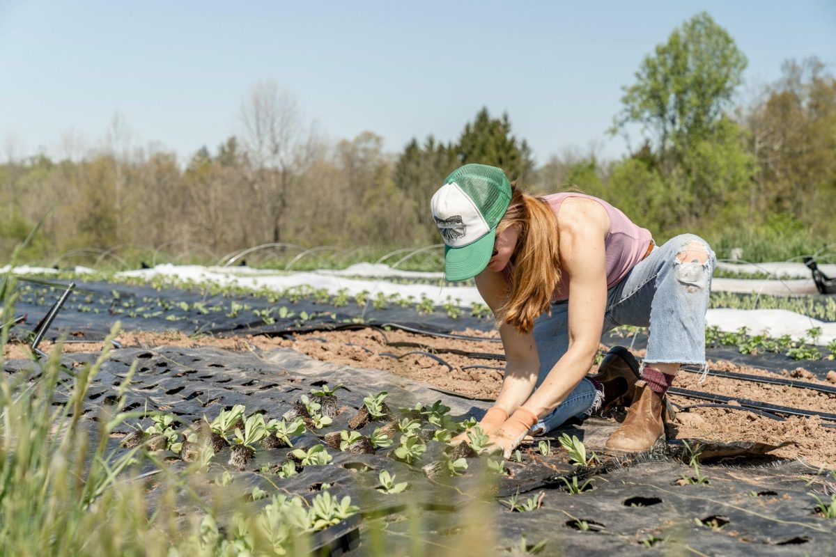 SAE students working on small-town farms throughout the years always needed 200 hours, but that requirement will be cut by half for the incoming sophomores. (Courtesy of Zoe Schaeffer/Unsplash)