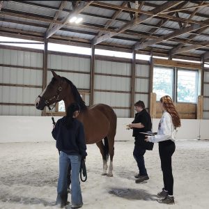 Students from the Marisa Bedron's junior/senior equine science class take horse's “fingerprints” in the new barn. This is just one of the many ways the new barn will be utilized. (Courtesy of the Woodbury FFA/Instagram)