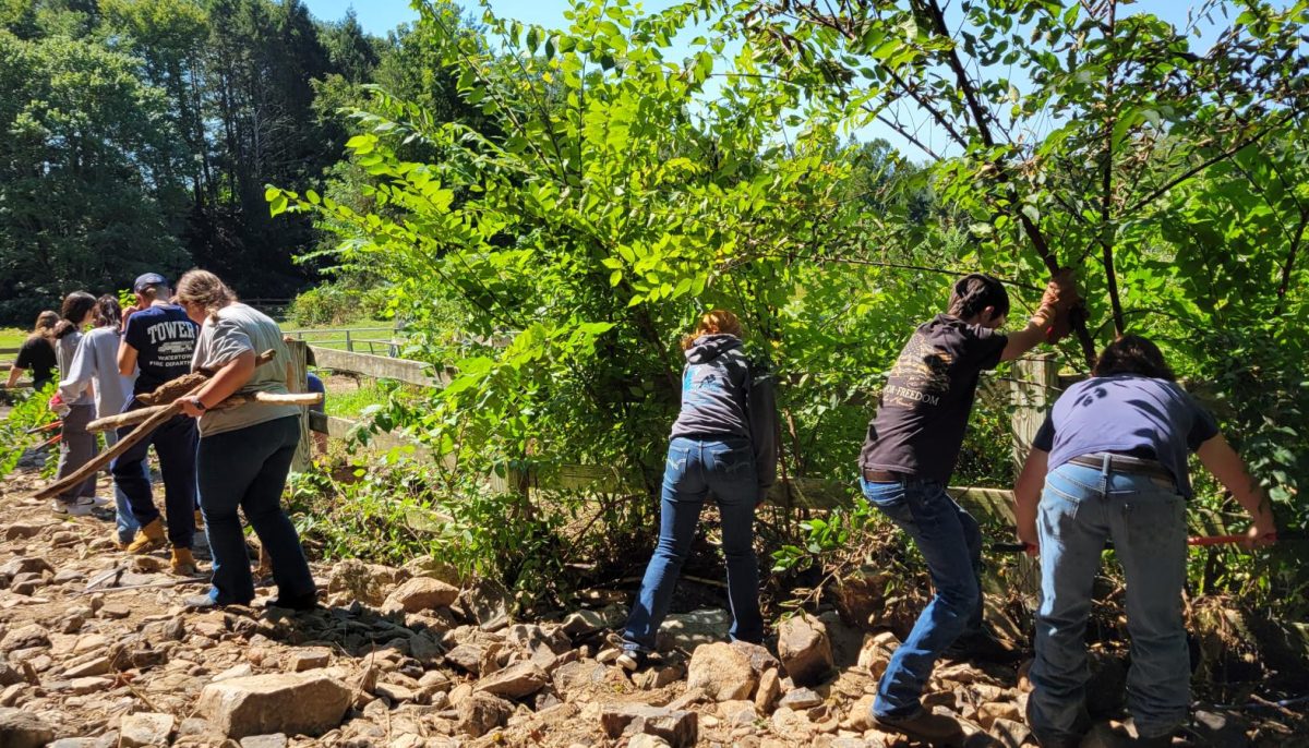 Katie Gorman’s junior/ senior agricultural production work together to clear the cattle chute. This is a very important part of their living space, as it is the cut-through for them to get water come winter time.  Starting with clearing large branches and finding missing fence posts, to moving rocks aside. It won’t be easy but with hard work and time Gorman hopes to have everything up and working for them by winter.