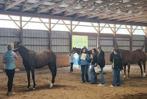 The horse judging CDE team, coached by Marisa Bedron, evaluates conformation in quarter horses. Judging took place at Hollow Hill Equestrian Center in Middlebury. This is just one of the many ways that they are preparing to compete at Nationals. (Contributed by the Woodbury FFA/Instagram)