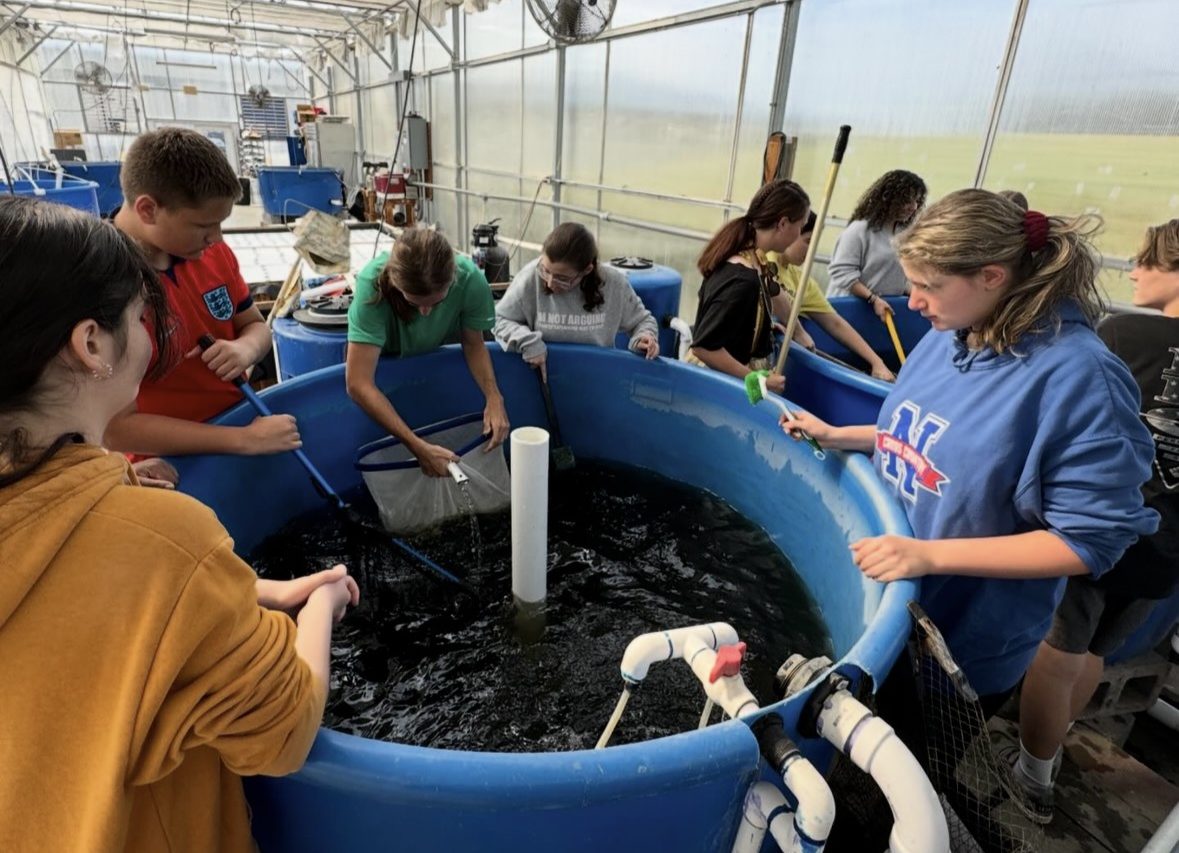 Leanne Foster, the aquaculture teacher, spends time with her junior/ senior class in the aquaponics house teaching them the basics of aquaponics while also cleaning and maintaining the health of the tanks and fish. (Courtesy of the Woodbury FFA/Instagram)