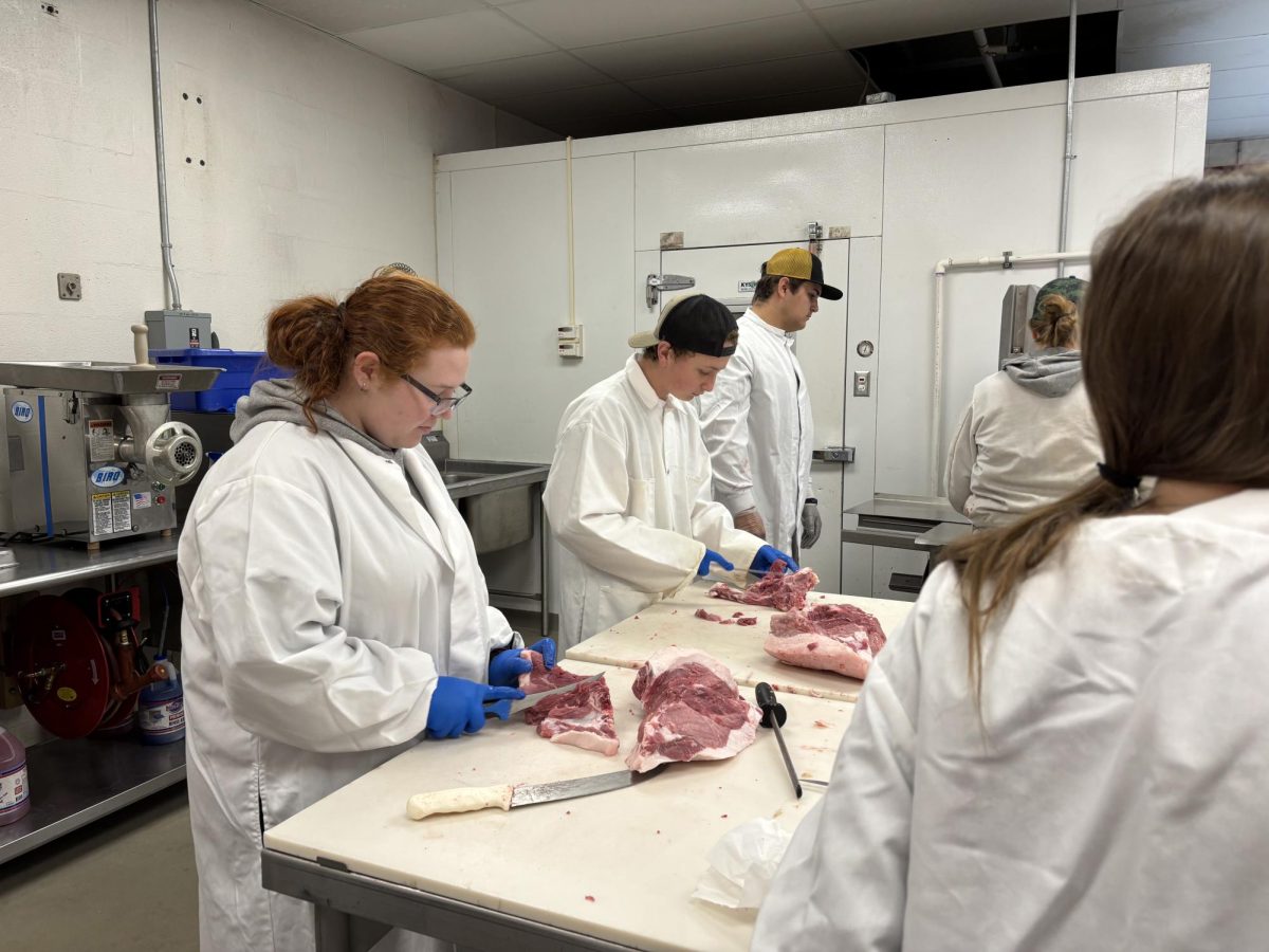 Kelsey Santerre-Piaz, left and Dan Coyle, right, help in trimming meat of bones to be added to scrap buckets. These scrap buckets of meat with them be further processed to make ground pork which Thomas will also be able to sell.