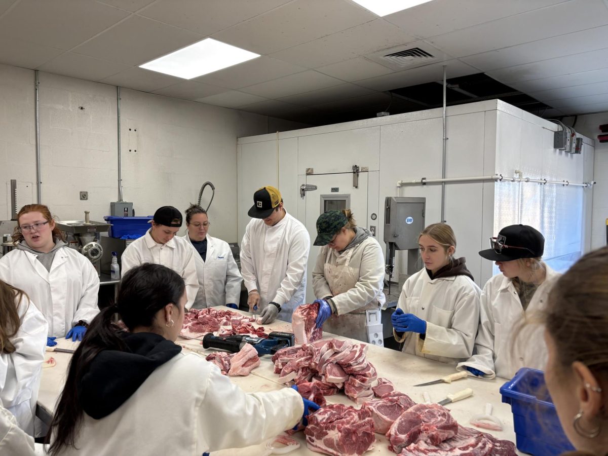 McKayla Thomas, center in the camo hat, visits Nonnewaug to teach Katie Gorman's ag production classes about how to process a pig carcass. This is her second year coming in to teach students about everything that goes into pig processing and allow them to see it first-hand.