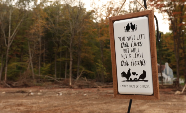 Cathy's House of Chickens in Southbury lost more than 100 birds in the Aug. 18 flood.