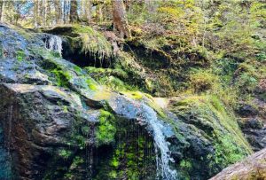 Although this fall has been unseasonably dry, the Nonnewaug Falls still provides refreshing tranquility for visitors who wish to glimpse into Woodbury and Bethlehem's natural beauty and rich cultural history. 