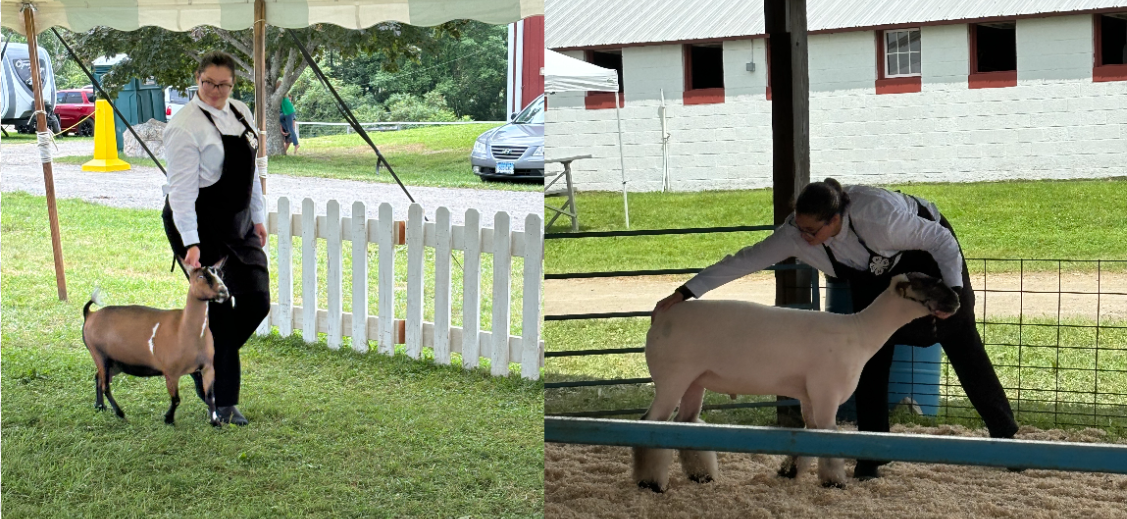 Rachel Kalmanovsky at a 4-H showing. She is showing a goat and a sheep, but it's moments that she's working with animals that she's at her most comfortable.  Photo Credit: Contributed