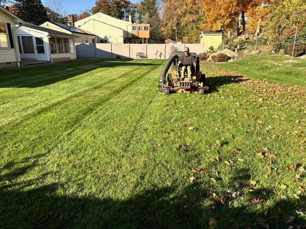 Junior Noah Zupan cutting a lawn for one of his weekly properties. For NHS students who are in the workforce, a rising minimum wage will provide new opportunities.  Photo Credit: Noah Blood