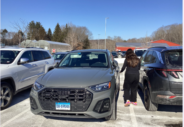 NHS students are forced to balance the cost of driving with the conveniences of not relying on a parent or bus transportation. Beyond the cost of a vehicle, insurance, repairs, and gas, students now pay $20 to park on campus. 