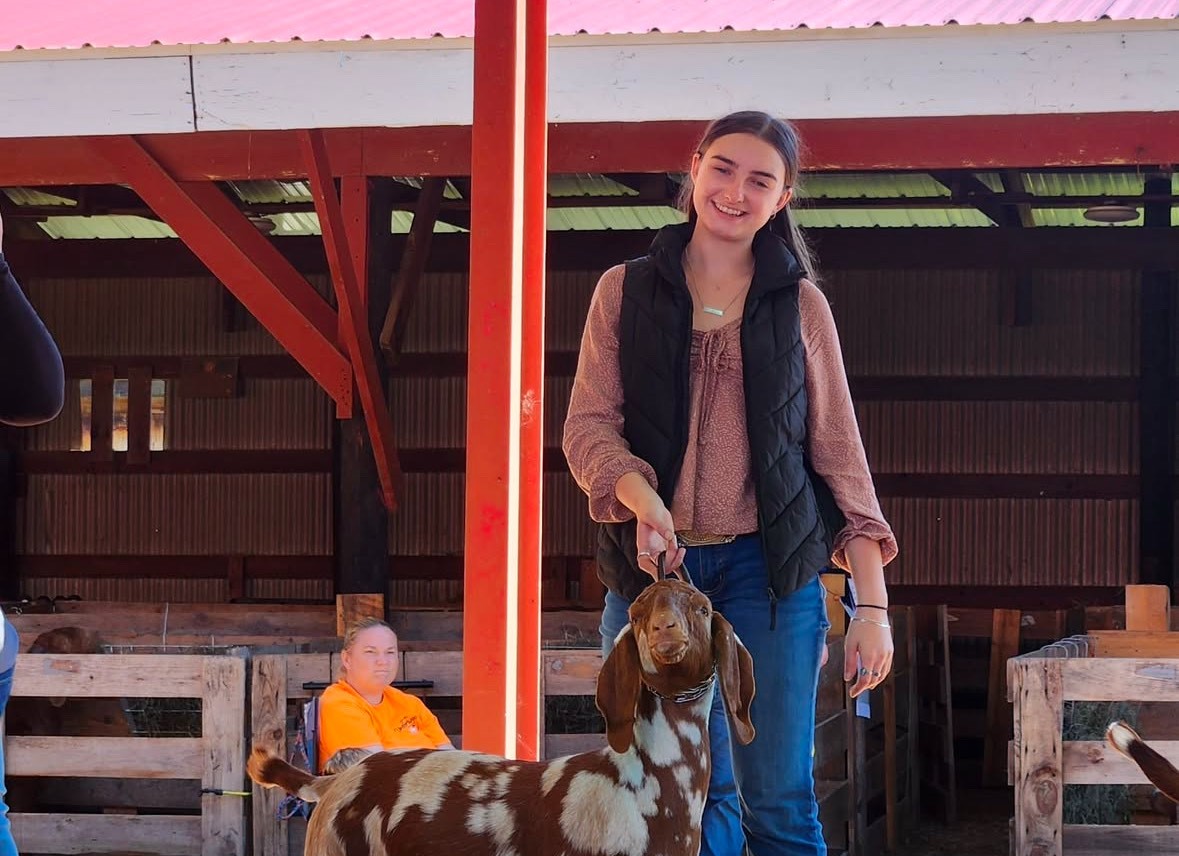 Senior Samantha Kostka shows Boer goats in Greenfield, Massachusetts for the Woodbury FFA Boer Goat show team. She won a herdsmanship buckle. (Courtesy of the Woodbury FFA/Instagram)