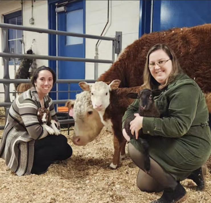 Marisa Bedron, left, the horse management teacher and Kathleen Gorman, the agriculture production teacher, spend time with the newborn calf, Delphinium. They work with her to get her used to students and to become a greater part of the program in the future. (Courtesy of the Woodbury FFA/Instagram)