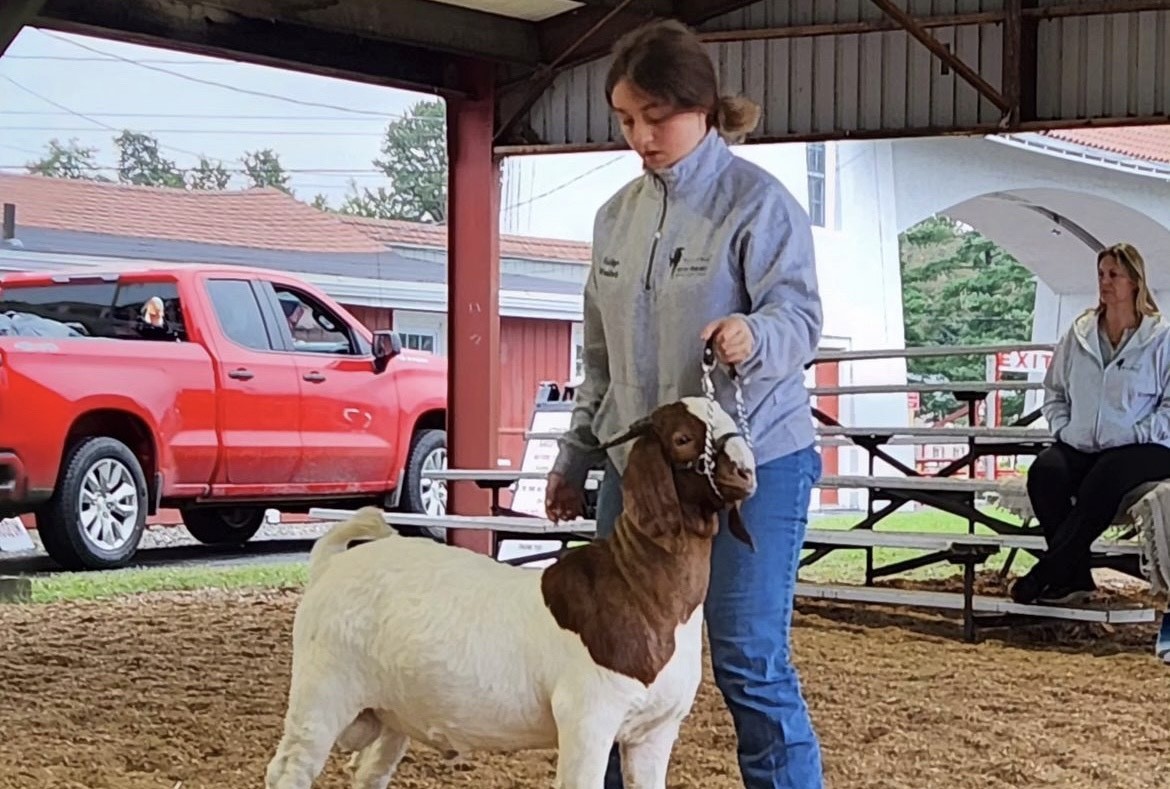 Ashlynn Graziano shows Woodbury FFA’s boer goat, Cabana Boy, at a 2023 goat show in Massachusetts. It was one of the many activities Graziano loaded herself with over the past few years. (Courtesy of the Woodbury FFA)