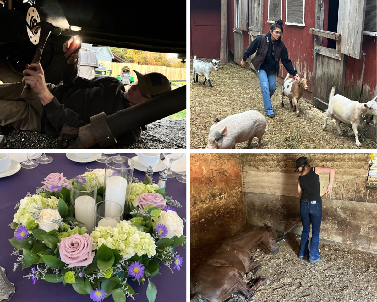 Nonnewaug students are helping to build Generation Z’s reputation as one that relishes work. Pictured: Noah Zupan (top-left), class of ‘26, is well versed in mechanical engineering and engines of all sizes. Julia Longoria (top-right) class of ‘25, enjoys her job with large and small animals. Mae Addeo and her floral arrangement (bottom-left), class of ‘25, displays a floral centerpiece featured at a local wedding. Addeo has been working at a floral shop for many years and is well educated in that field. Lana Manganello (bottom-right), class of ‘25,  keeps up with what her family taught her at a young age as she’s worked in agriculture since childhood. Photo Credits: Contributed