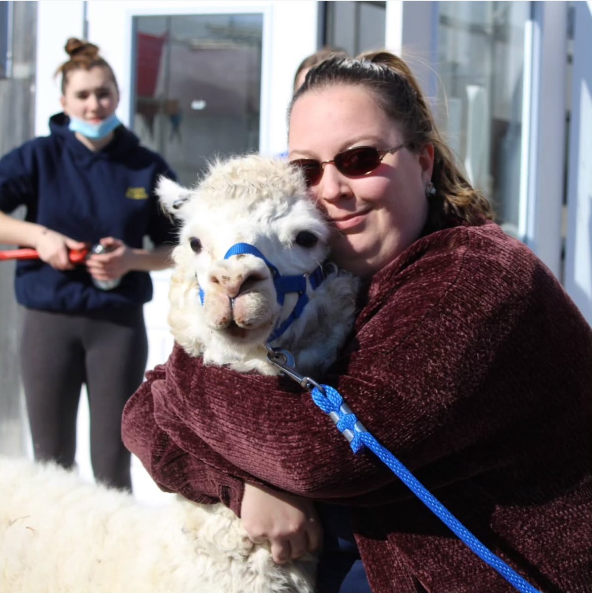 Ag production teacher Kathleen Gorman hugs Pearl the alpaca on a walk during her agricultural production classes. Pearl died in January at age 26. (Courtesy of the Woodbury FFA/Instagram)