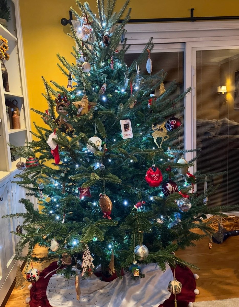 Many people have their Christmas tree decorated before November ends. This picture of the  Holtman family’s tree was taken on November 24. 