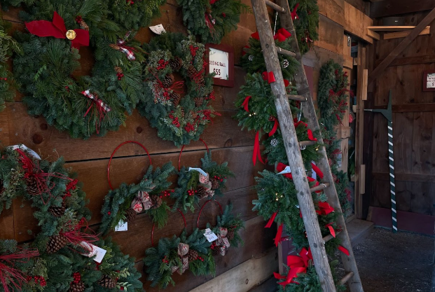 Jones Family Farm in Shelton, Ct is one of the many places where Christmas decorations are sold in November. These wreaths in particular were being sold on November 23. 