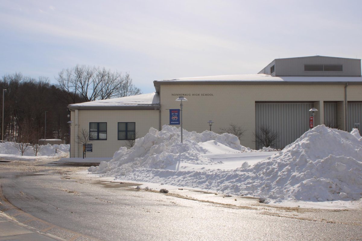 After the snow storm this past weekend, Plow trucks made large piles of snow surrounding Nonnewaug