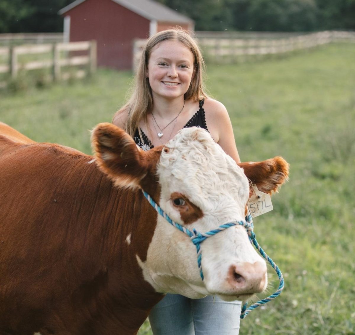 Kenzie Scully class of 2026 taking her senior photos with her favorite cow on a warm summer day. Scully plans to build on her love of animals as she'll be studying at SUNY-Cobleskill.  (Courtesy of Kenzie Scully) 