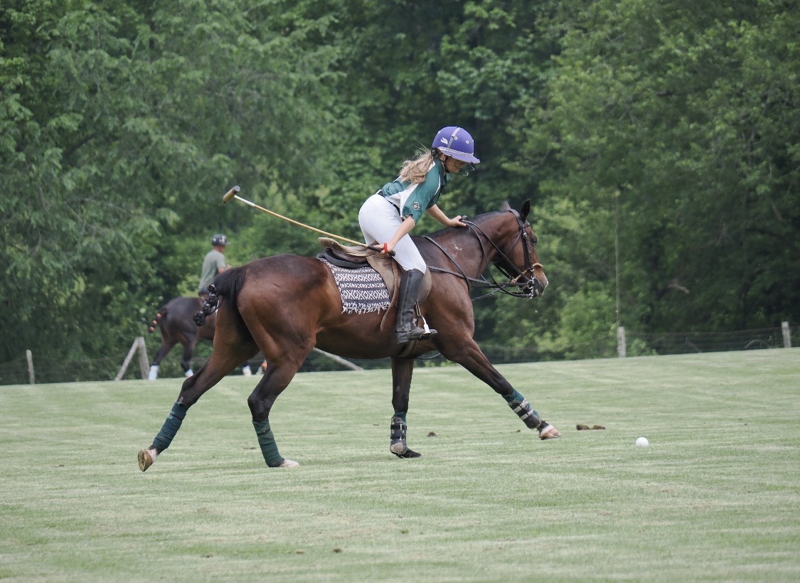 Nonnewaug senior Sophia Lopez working to exercise one of the horses at Yale Polo, her SAE. She works with these animals on the daily and has grown bonds with each horse at the barn. (Photo Credit - Sophia Lopez)  