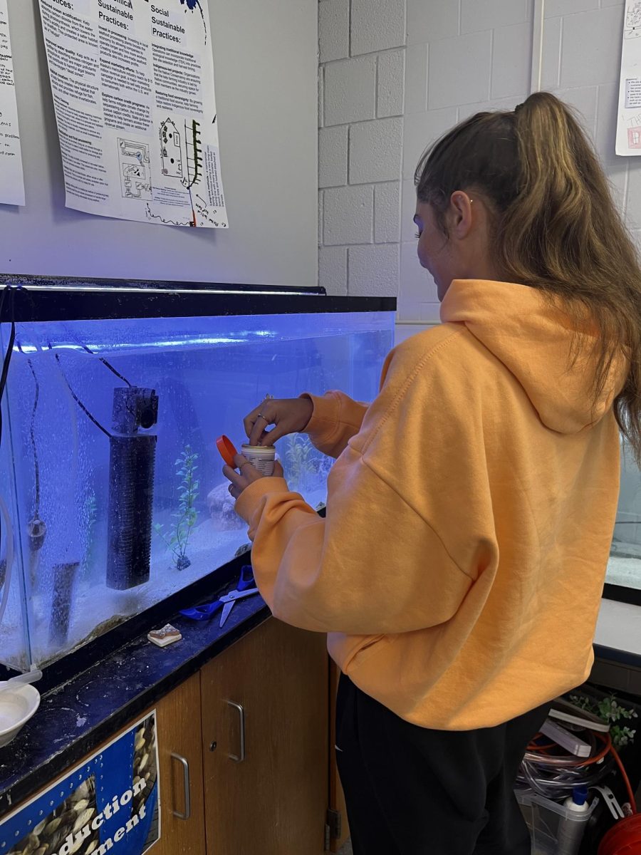 Aqua student feeds the class clown fish. Understanding how much and what type of feed to feed the fish is just one of the many important lessons learned in aqua class.