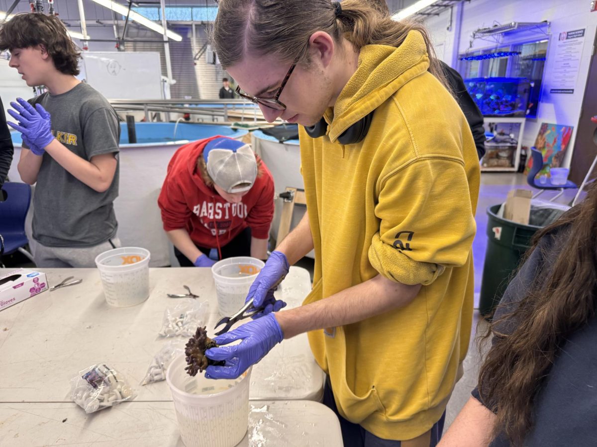 Senior Corbin Fretz during a field trip takes advantage of the opportunities given to him. Fun fact fish are the most diverse group of vertebrates, with over 33,000 known species that have existed for over 450 million years.