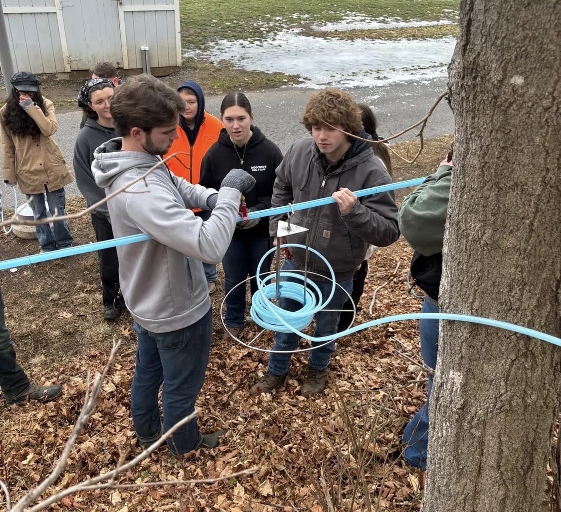 Whalen's Natural Resource class tapping trees near the field behind Nonnewaug. They work daily to check these lines and make sure everything is in order for a successful harvest. (Photo Credit: NHS Instagram)