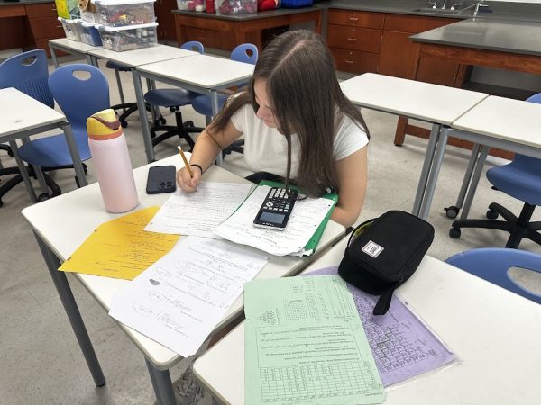 Nonnewaug junior Iris Messore studies during study hall while preparing for a final. Studying is very important for students if they want to do well on their finals.